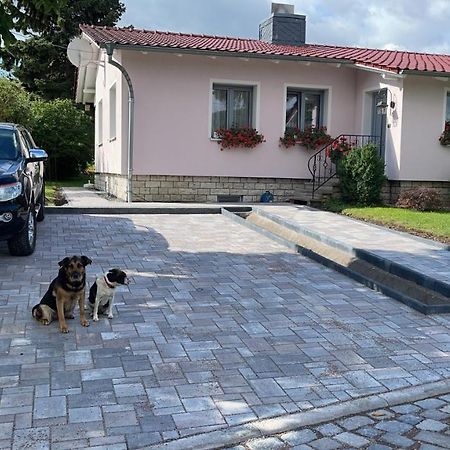 Haus Marianne Apartment Ettersburg Ngoại thất bức ảnh